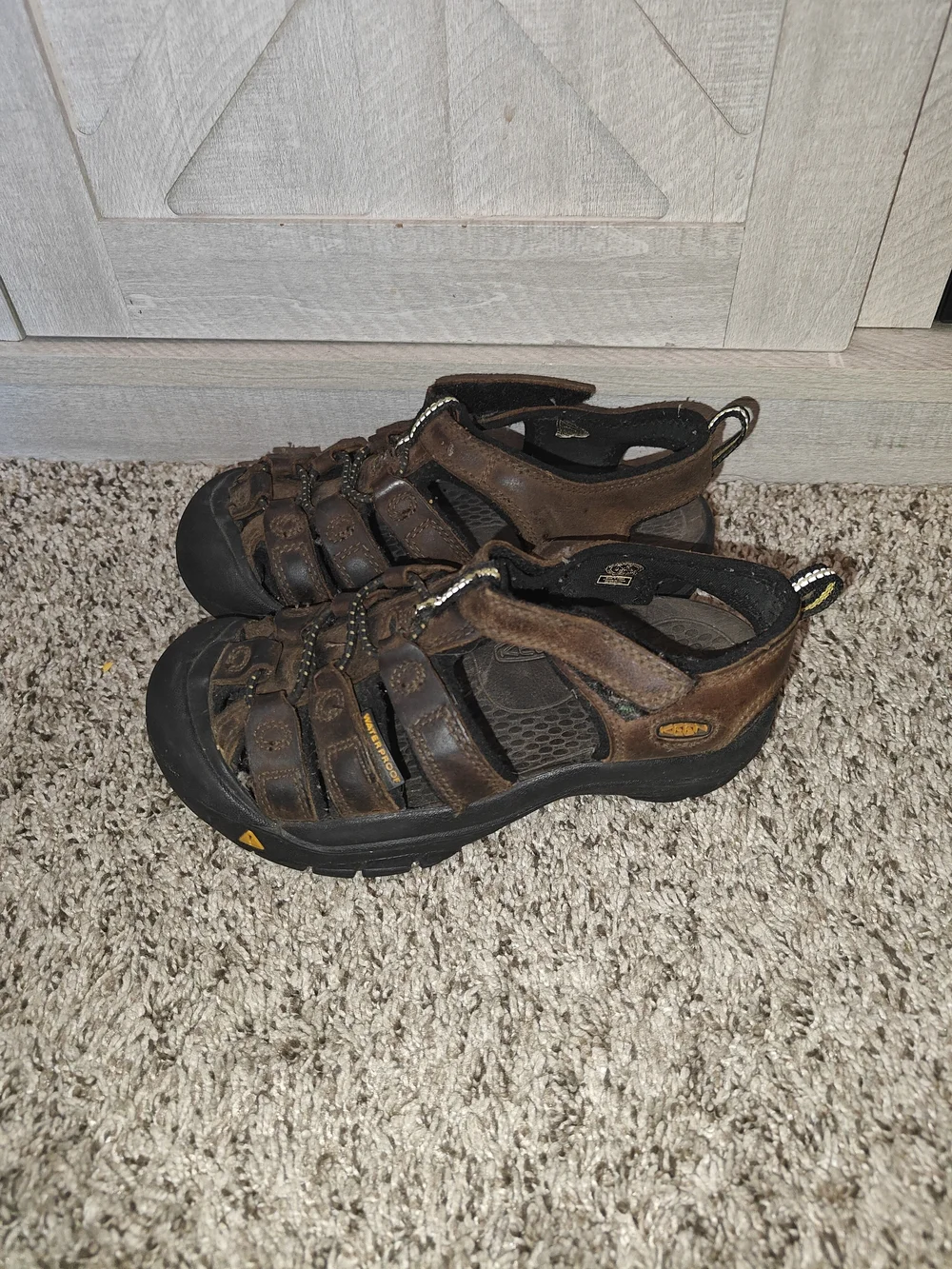 KEEN Newport H2 sandals in Brown Leather Size 13c